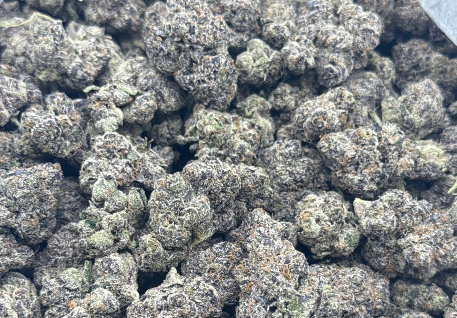 Trimmed cannabis cultivation journal preview